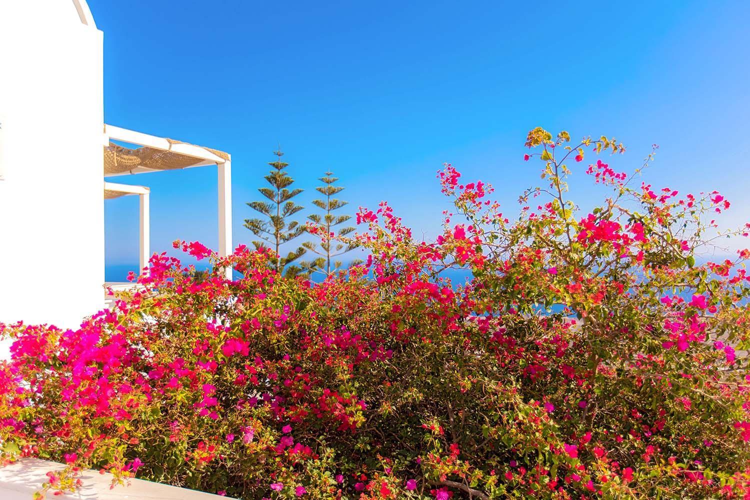 Phaos Santorini Suites Imerovigli  Exterior foto